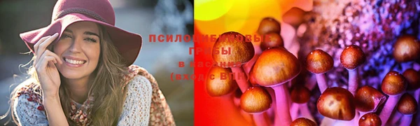 индика Вяземский