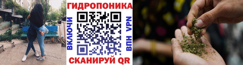Шишки марихуана THC 21%  наркота  Правдинск 